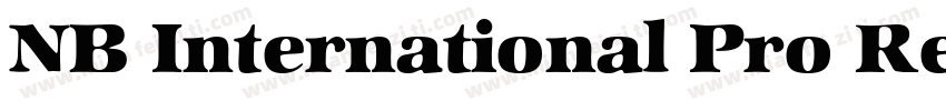 NB International Pro Regular字体转换